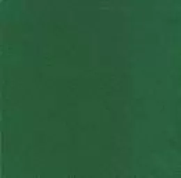 Serviette AirLaid PLUS 40x40 1/4 Vert Forêt